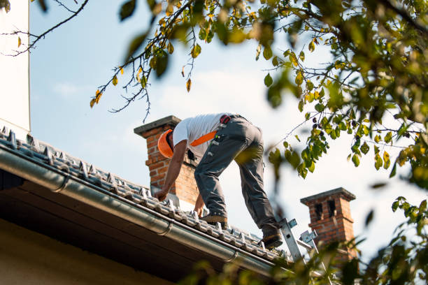4 Ply Roofing in Blue Mound, IL