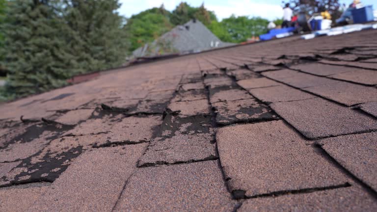 Best Roof Ventilation Installation  in Blue Mound, IL