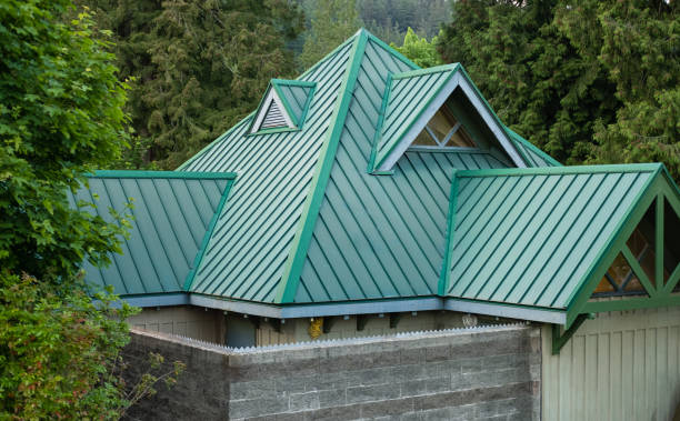 Best Roof Coating and Sealing  in Blue Mound, IL