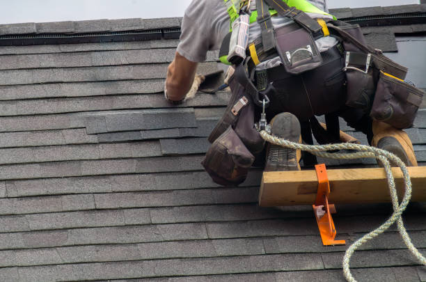 Best Solar Panel Roofing Installation  in Blue Mound, IL